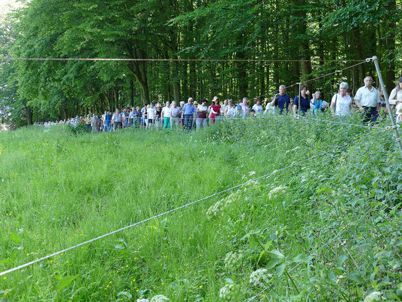 Festgottesdienst zum 1.000 Todestag des Heiligen Heimerads auf dem Hasunger Berg (Foto: Karl-Franz Thiede)